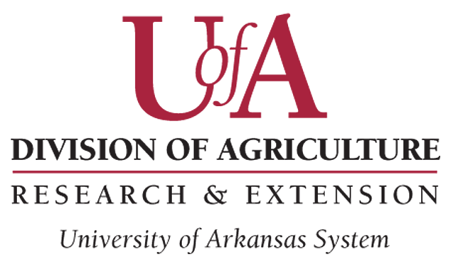 University of Arkansas Fayetteville