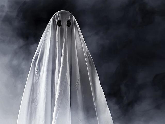 Scooby Doo y sus amigos deciden recurrir a un especialista en fantasmas.