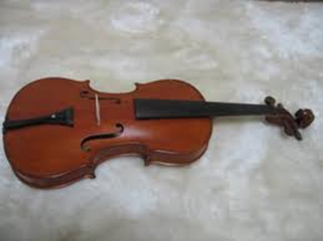 Middle aged violin