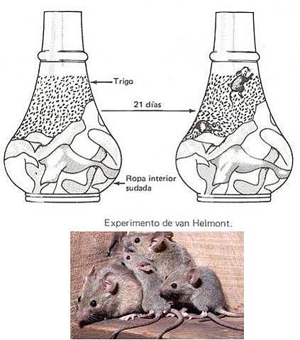 origen de la vida (teoría de la generación espontanea )