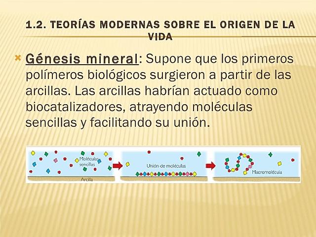 ORIGEN DE LA VIDA (GÉNESIS MINERAL)