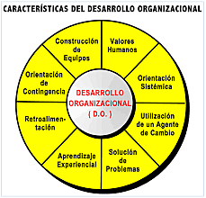 Teoría Desarrollo Organizacional
