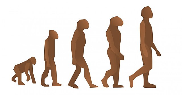 Psicología Evolutiva