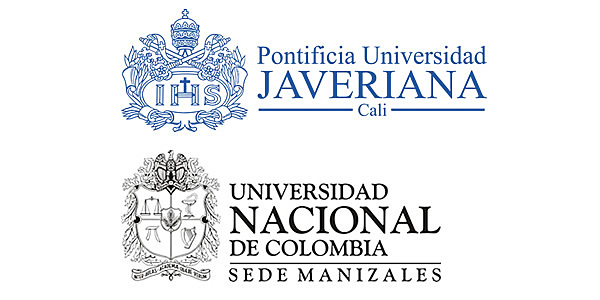 El desarrollo en su consolidación institucional