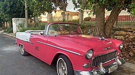 Timeline: MI VIDA / Alisson Moreno