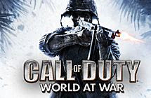 Call of duty WAW