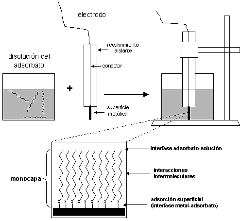 Procesos químicos sobre superficies sólidas