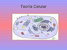 Postulados de la Teoria Celular