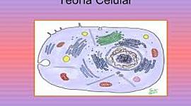 Timeline: Teoria celular Luis Abraham