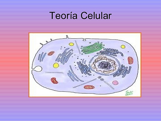 Matthias Jacob Schleiden y Theodor Schwann