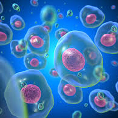 Timeline: EVOULUCION HISTORICA DEL CONCEPTO SALUD ENFERMEDAD