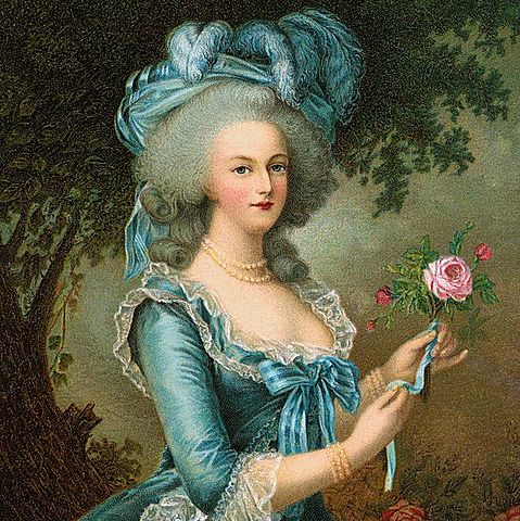 Marie Antoinette Marries Louis Auguste
