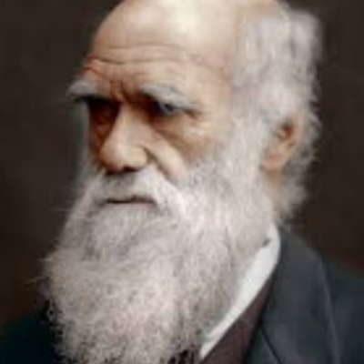 Timeline: Darwin