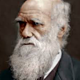 Darwin
