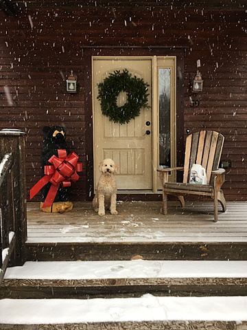 James Buys Second Dog