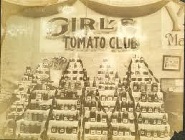 Tomato club