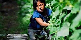 Reforma a la Ley Federal del Trabajo