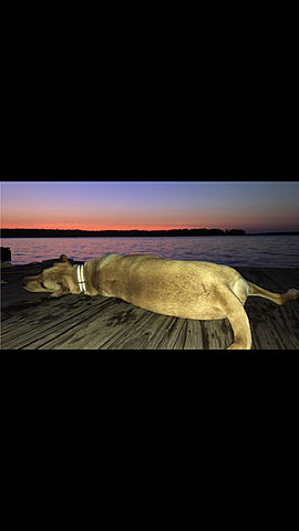 Charlie goes to the LAKE