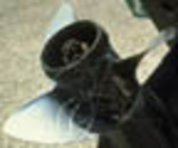 Fishing line takes 600 years to Biodegrate