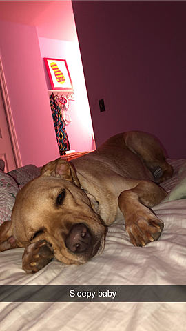 Charlie meets her grandparents ... uh oh