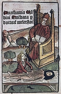 Anatomía y disección