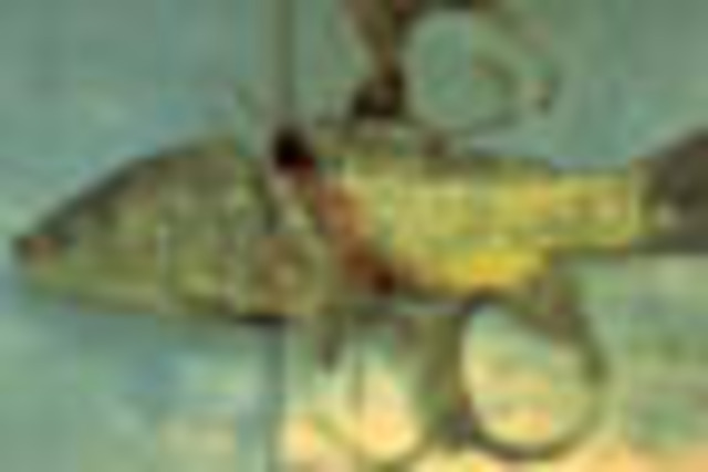 Plastic 6-pack ring takes 400 years to biodegrade