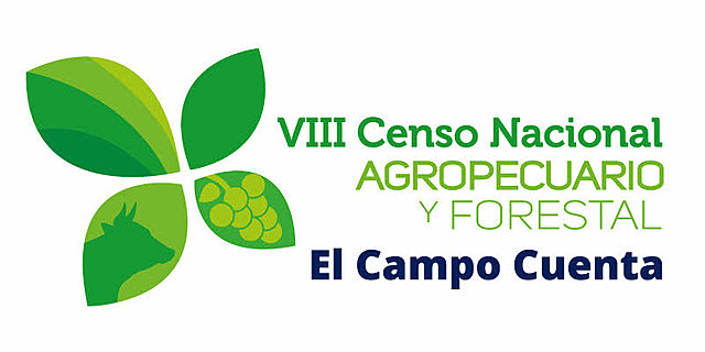 Se llevan a cabo el VI Censo de Población