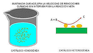 Catálisis