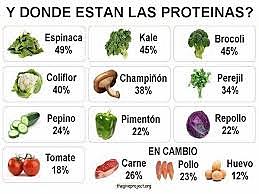 Proteínas