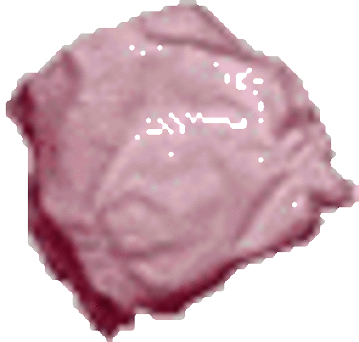 A biodegradable diaper takes 1 year to biodegrade