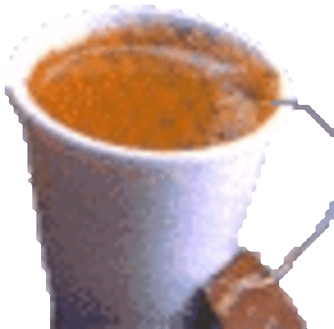 foam cup takes 50 years to biodegrade