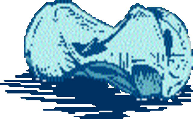 An aluminum can takes 200 years to biodegrade