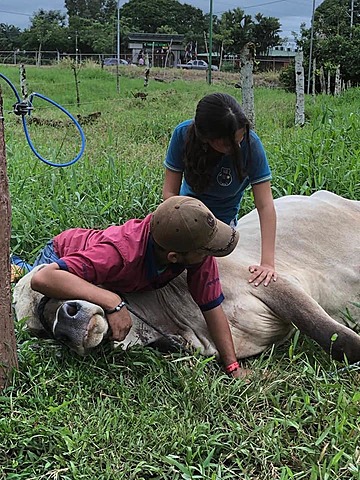 1993 Colegio Técnico Profesional Agropecuario de Pococi