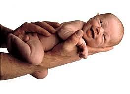 Mi Fecha de Nacimiento