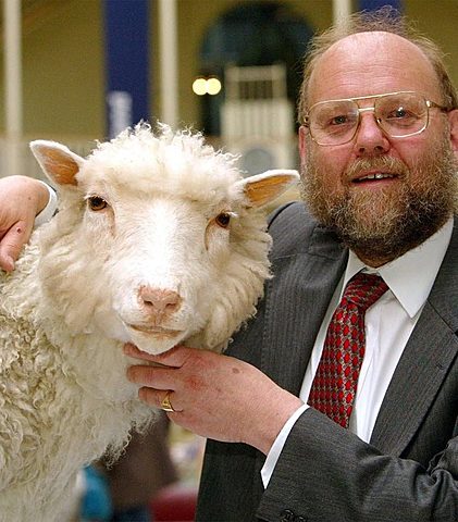 Clonacion del primer mamifero (Dolly)