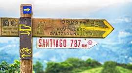 Timeline: El Camino de Santiago. Liceo Lingüístico Martinetti