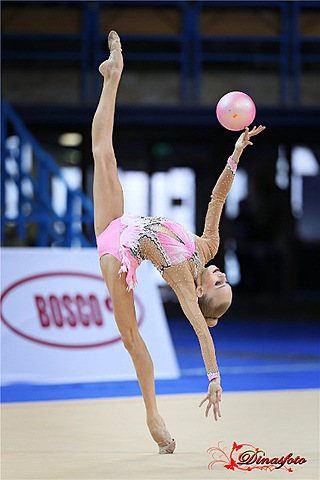 Спортивная карьера: 2013 год