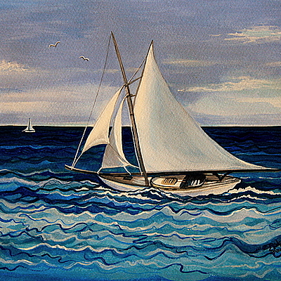 Timeline: Darwin's Observations