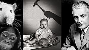 Watson y Rayner demuestran que el miedo de un niño puede ser el resultado de un aprendizaje