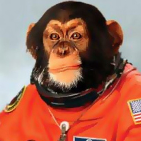 Monkey lost in Space
