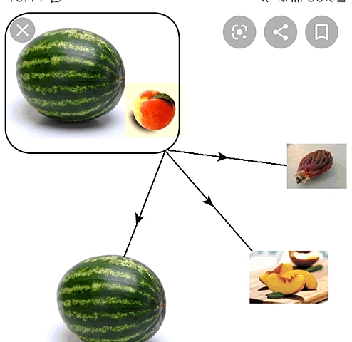La prueba de que los neutrinos tienen masa (1998)