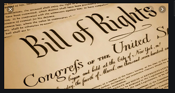 7.English Bill of Rights