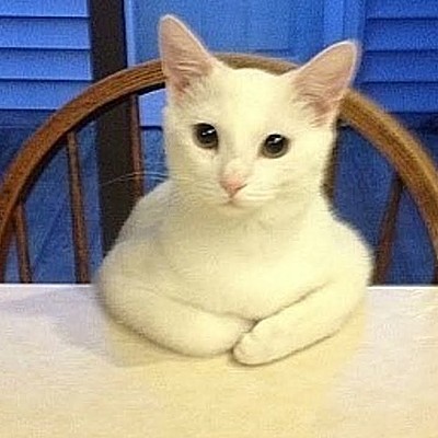 Timeline: (civil)silver war