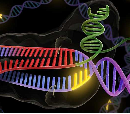 Desarrollan el bisturí más preciso del mundo para cortar y pegar el ADN
