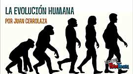 Timeline: Evolución humana