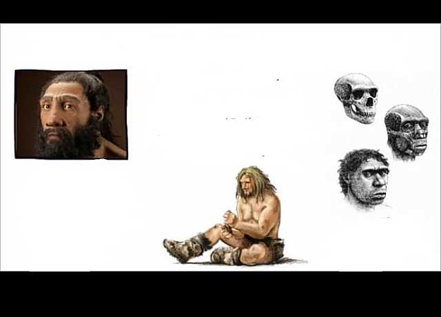 Homo sapiens neanderthalensis