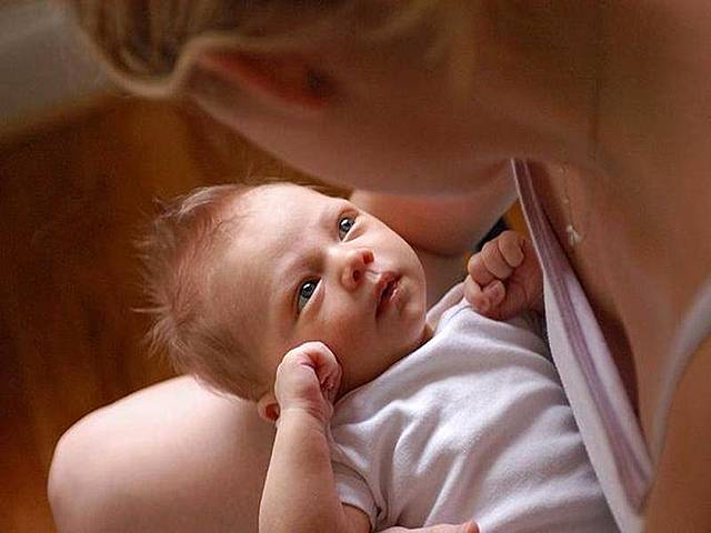 Las primeras horas de vida.