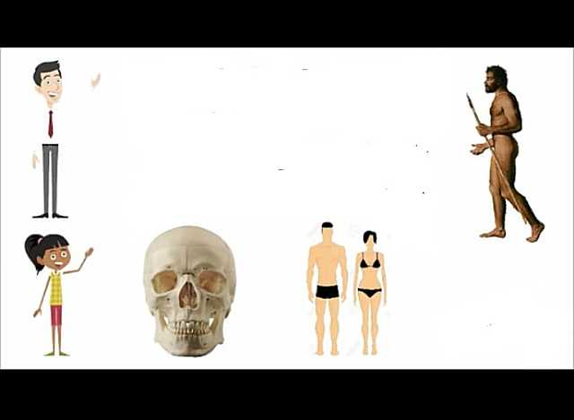 Homo sapiens sapiens