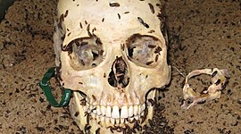 Timeline: Forensics Science History