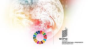 2007 - Agenda para desarrollo